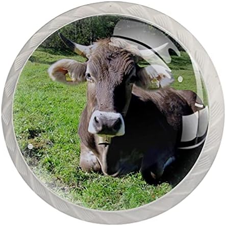Botões de gado de gado de animal botões de mobília branca botões de hardware de vidro de cristal.