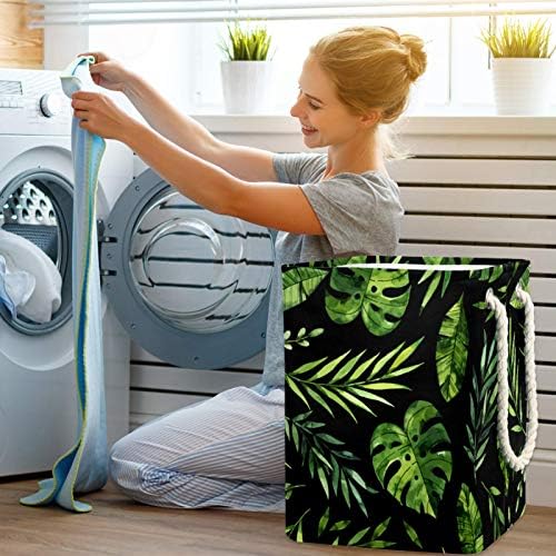 Deyya Tropical Black Green Folhas Cestas de lavanderia dificultam altura de altura dobrável para crianças adultas meninos adolescentes meninas em quartos Banheiro 19.3x11.8x15.9 em/49x30x40.5 cm