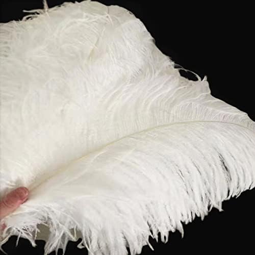 100pcs/lote 15-70cm Avestruzes brancas naturais Crafts Home Home Diy Feathers Avestruz Plume Roupes