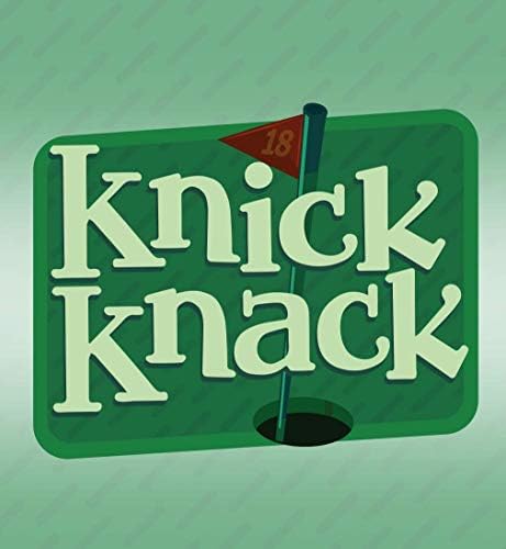 Presentes de Knick Knack bise - 20 onças de aço inoxidável garrafa de água, prata