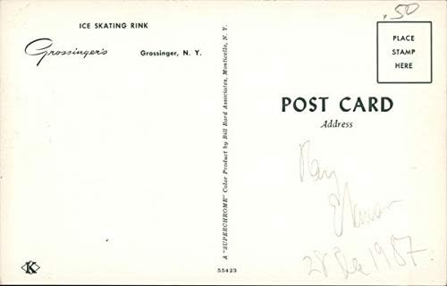 Patinação de gelo Grossinger, New York NY Original Vintage Post -Card