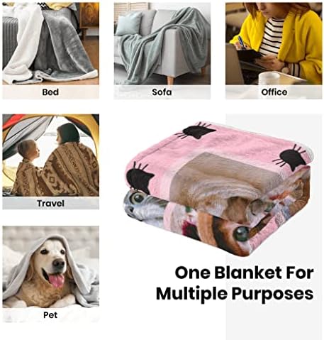 Capato de gato fofo Cobertor Ultra Soft quente aconchegante Cobertores de microfibra leves flanela