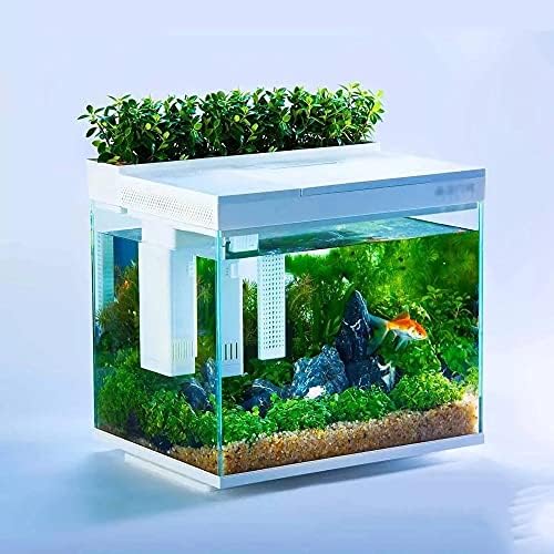 Zlbyb Geometria Ai Modularidade Inteligente Tanque de peixes Aquaponics Ecossistema Jardim ecológico Tanque de peixes transparente transparente